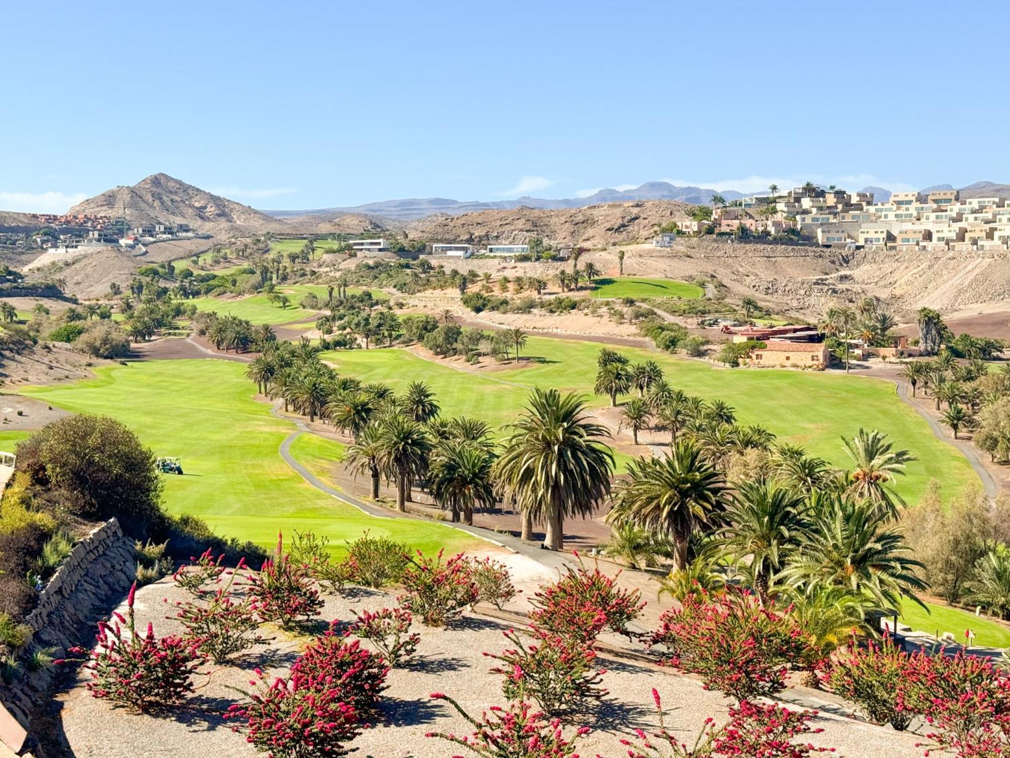9 The Dream With Pool And Views By Canaryscape * Las Palmas